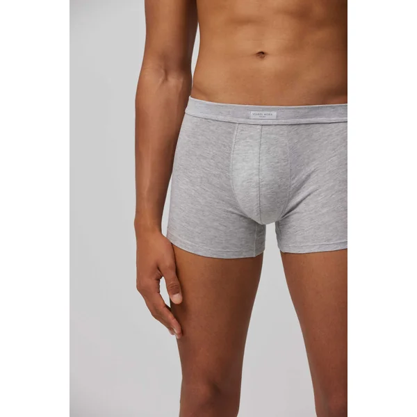 Boxer basique gris