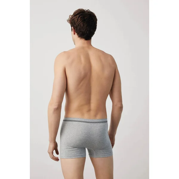 Boxer gris