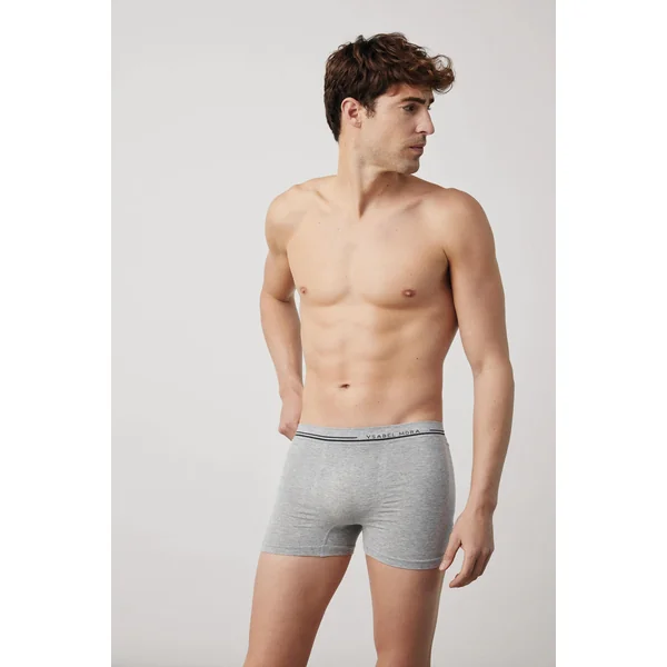 Boxer gris
