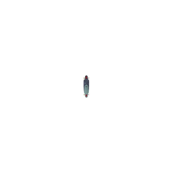 DUSTERS COMPLETE LONGBOARD CHANNEL FLORET RED GREEN 38