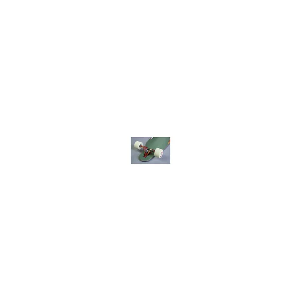 DUSTERS COMPLETE LONGBOARD CHANNEL FLORET RED GREEN 38
