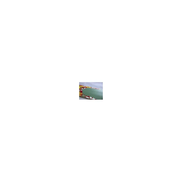 DUSTERS COMPLETE LONGBOARD CHANNEL FLORET RED GREEN 38