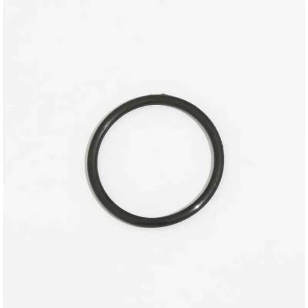 Joint de liaison pour pompe de filtration Flowclear 9 463 l/h