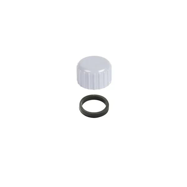Kit bouchon + joint torique - valve de vidange pour filtres à sable et Lay-Z Spa