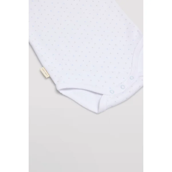Lot de 2 bodys bébé manches longues bleu et blanc