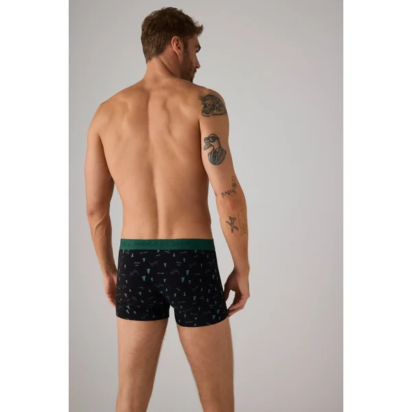 Lot de 2 boxers en coton imprimé montagnes