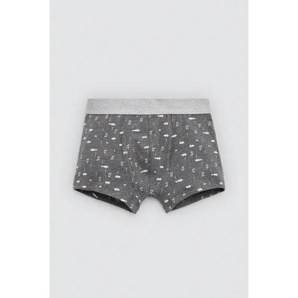 Lot de 2 boxers en coton pour jeunes avec imprimés Musique