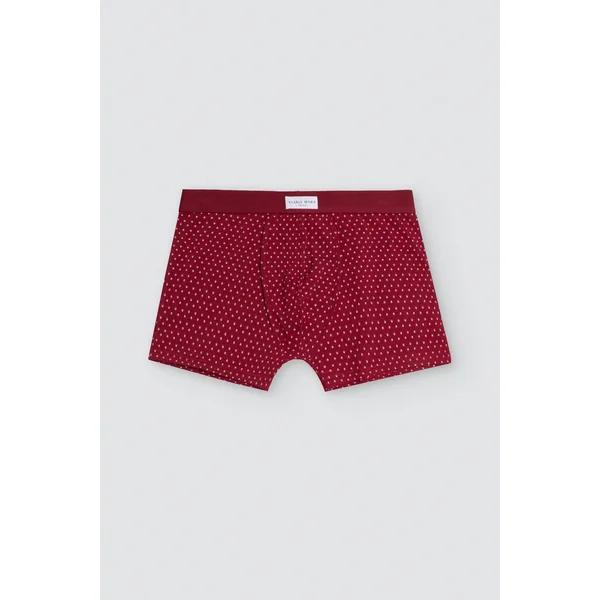 Lot de 2 boxers imprimé marinière rouge et gris