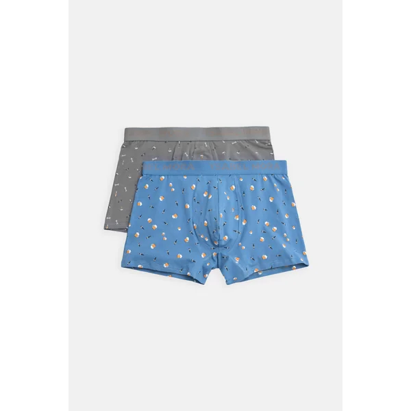 Lot de 2 boxers imprimés