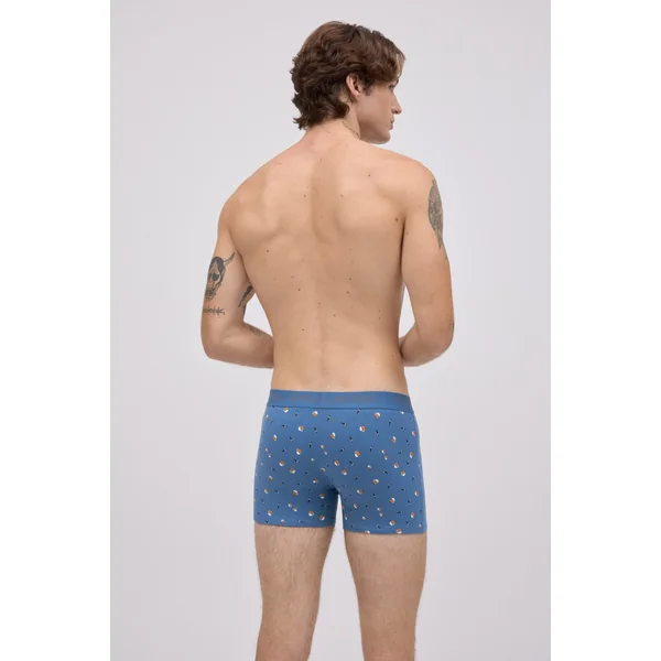 Lot de 2 boxers imprimés