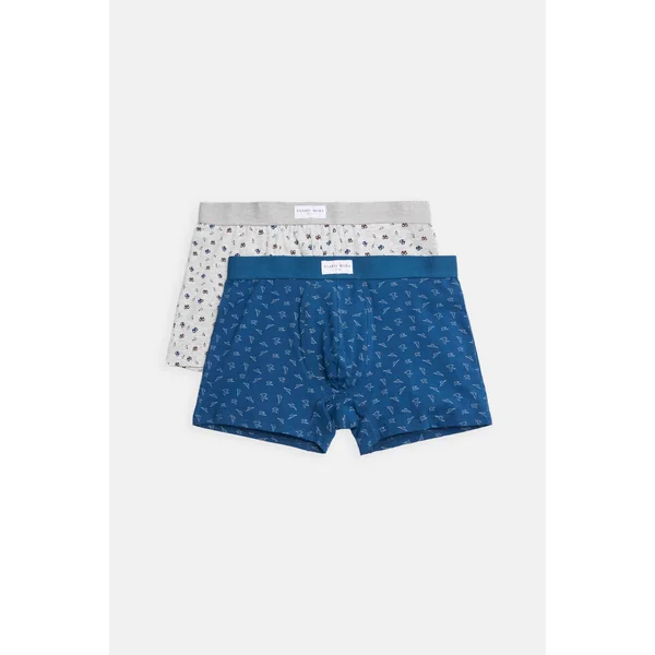 Lot de 2 boxers imprimés