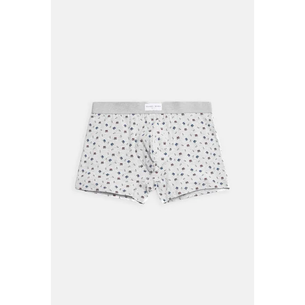 Lot de 2 boxers imprimés