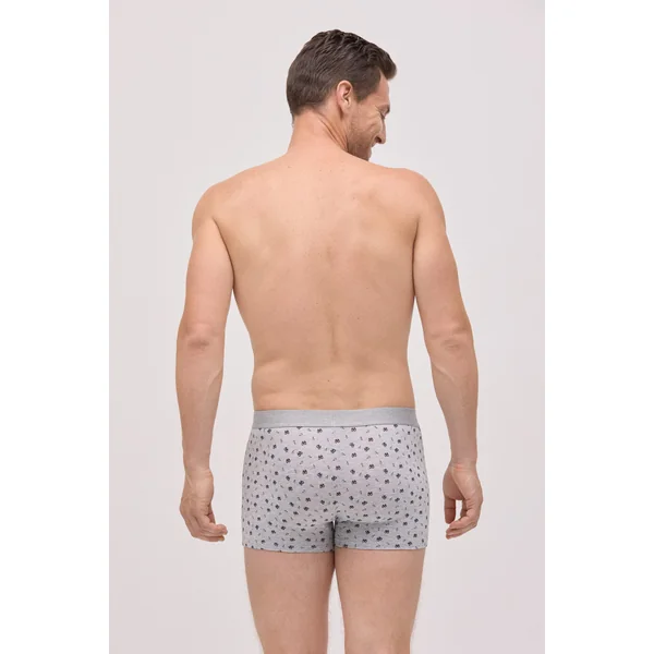 Lot de 2 boxers imprimés