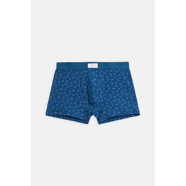 Lot de 2 boxers imprimés