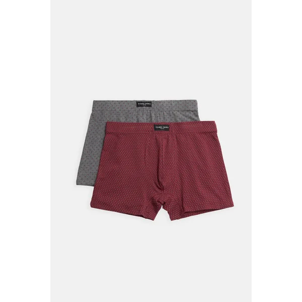 Lot de 2 boxers imprimés