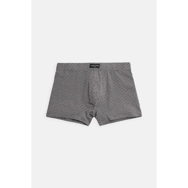 Lot de 2 boxers imprimés