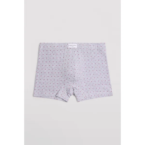 Lot de 2 boxers imprimés gris et marine