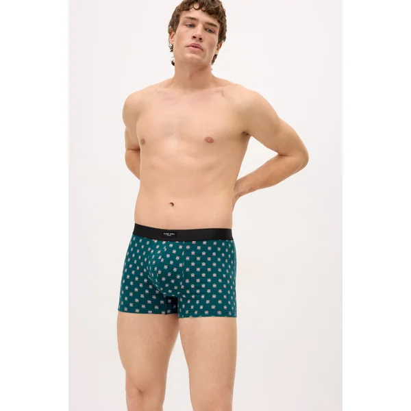 Lot de 2 boxers à motifs assortis : caravane et palmier