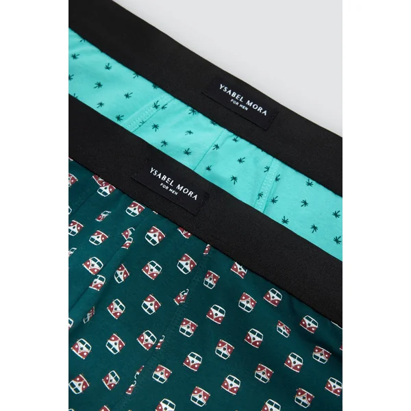 Lot de 2 boxers à motifs assortis : caravane et palmier