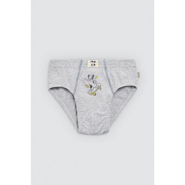 Lot de 2 slips enfant en coton imprimé Cool Kid