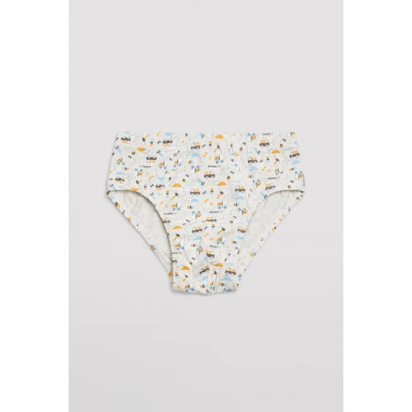 Lot de 2 slips enfant imprimés en coton réparation maison