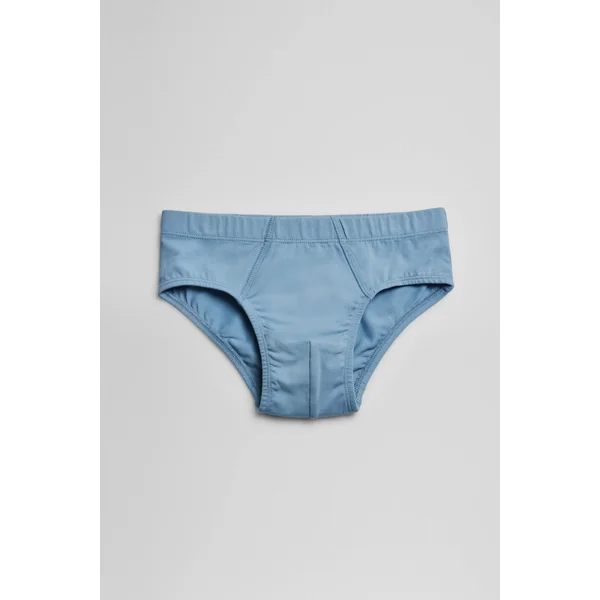 Lot de 2 slips garçon en coton bleu et gris