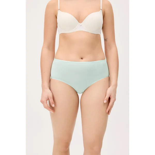 Lot de 4 culottes basiques taille haute de couleurs assorties