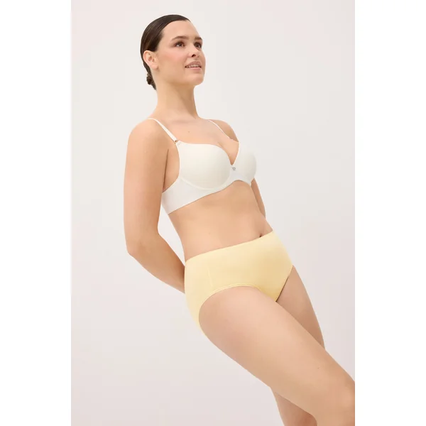 Lot de 4 culottes basiques taille haute de couleurs assorties