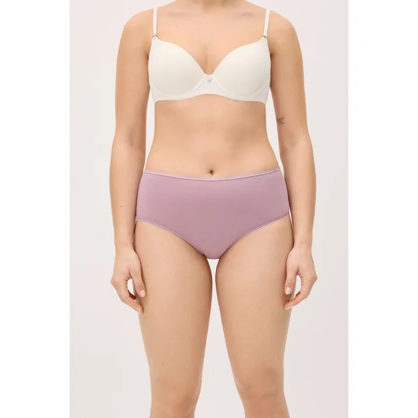 Lot de 4 culottes basiques taille haute de couleurs assorties