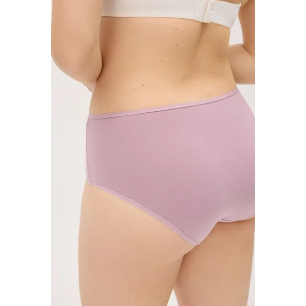 Lot de 4 culottes basiques taille haute de couleurs assorties