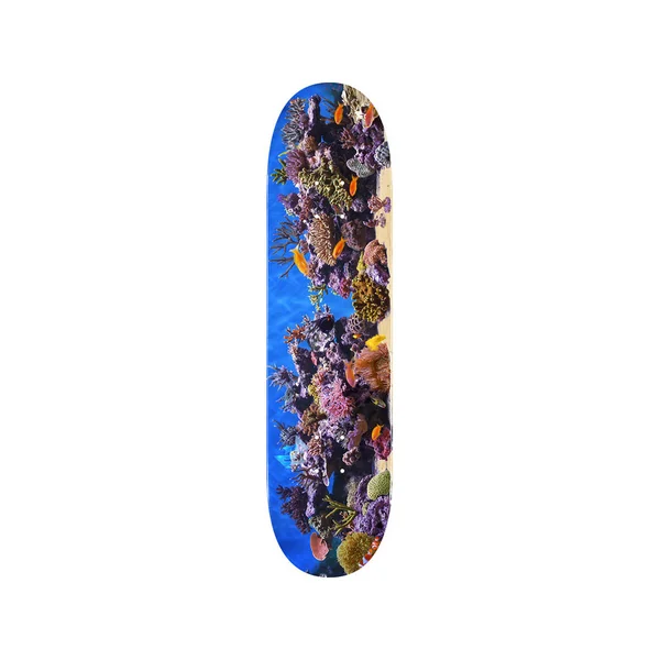 MINI LOGO DECK FIN FUR FEATHER 18 FISH TANK 8.5 X 32.08