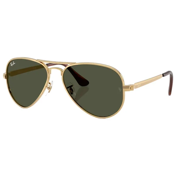 RB3925 Aviator Max