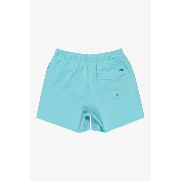 Short De Bain Surfsilk Solid Volley 16In