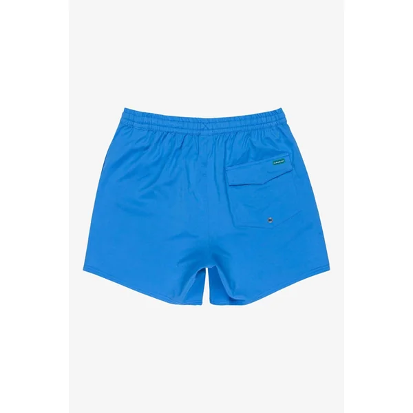 Short De Bain Surfsilk Solid Volley 16In