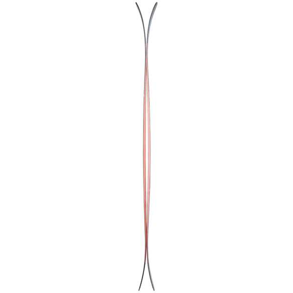 Ski Alpin Dynastar M-Free 100