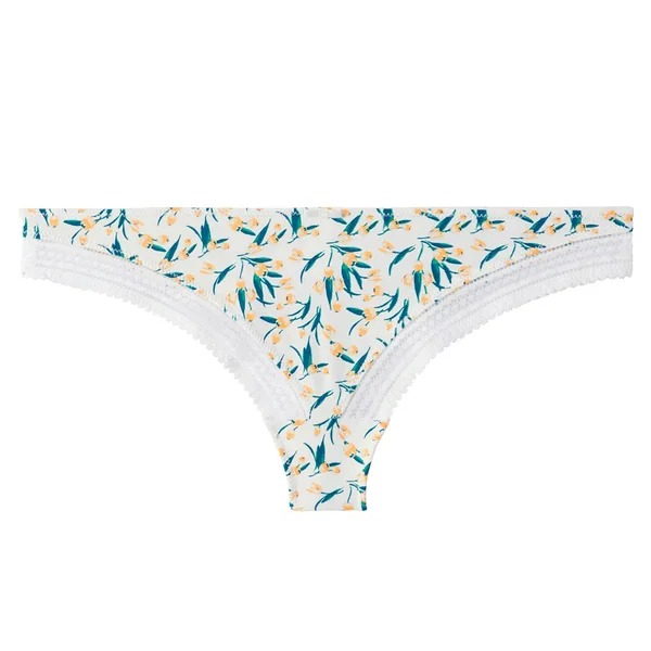 Tanga ivoire Ruche