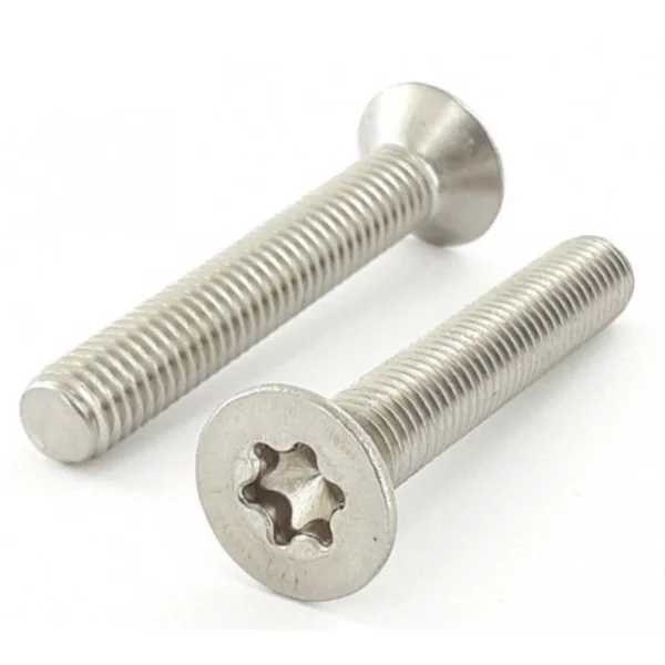 Vis inox (tête fraisée, torx)
